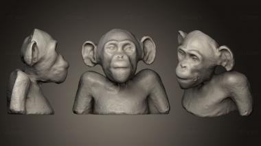 3D model Monkey (STL)